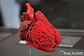VBS_2864 - Cuore. Arterie coronariche - Mostra Body Worlds